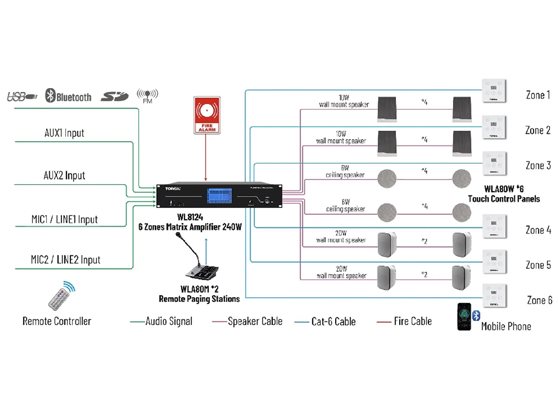 Tonsil WLA-8112 - cecha 1