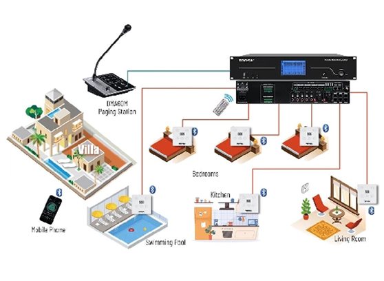 Tonsil WLA-8112 - cecha 3