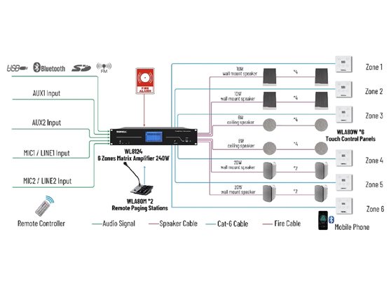 Tonsil WLA-8124 - cecha 1