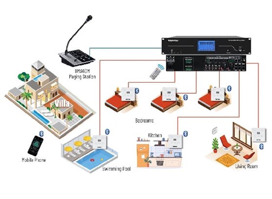 Tonsil WLA-8124 - cecha 2