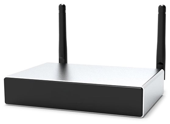 Tonsil WS-1402 - cecha 1