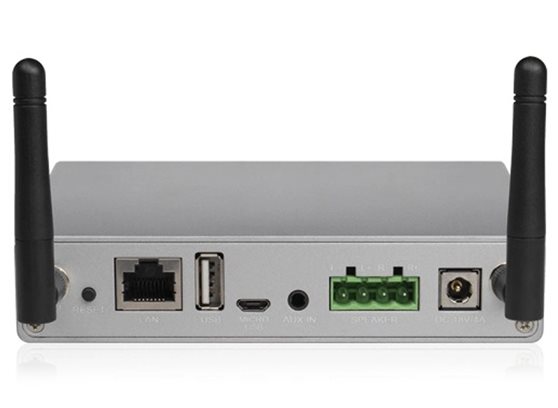 Tonsil WS-1402 - cecha 2