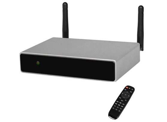 Tonsil WS-1402 - cecha 3