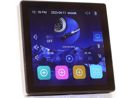 Tonsil WS-65 - cecha 1