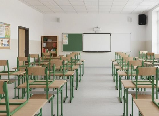 Tonsil ZGS45 - cecha 3