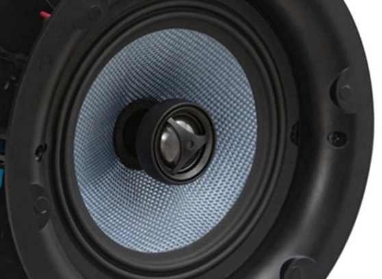 Tonsil ZGSU 2230 - cecha 2