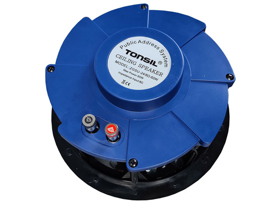 Tonsil ZGSU 24P - cecha 1