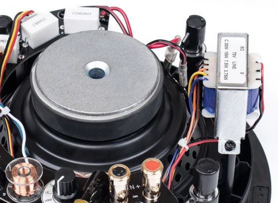 Tonsil ZGSU 5040 - cecha 1