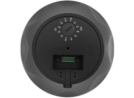 Tonsil ZGSW45 - cecha 2