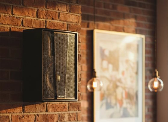 Tonsil ZP6 - cecha 1