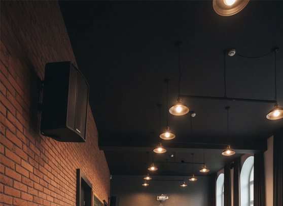 Tonsil ZP6 - cecha 2