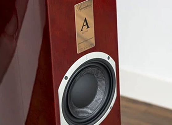 Triangle Signature Alpha - cecha 3