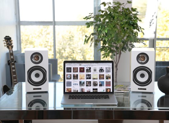 Triangle Titus Ez - cecha 2