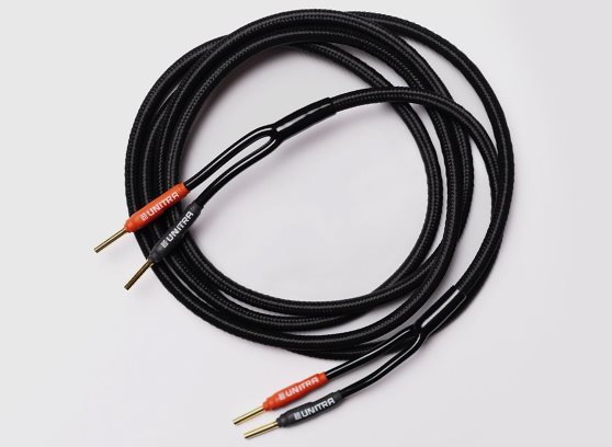 Unitra KG25 Black - cecha 1