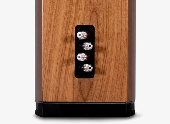 Wharfedale Aura 2 - cecha 5