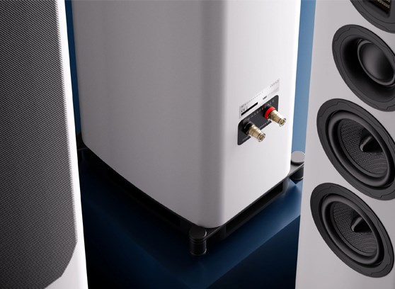 Wharfedale EVO 5.3 - cecha 2