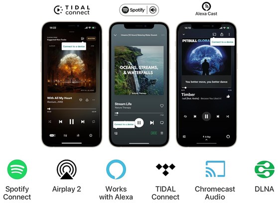 WiiM Pro Plus - cecha 3