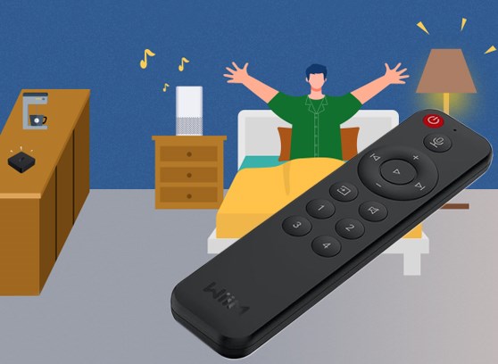 WiiM Pro Plus - cecha 4