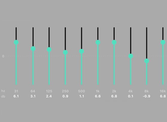 WiiM Pro Plus - cecha 5