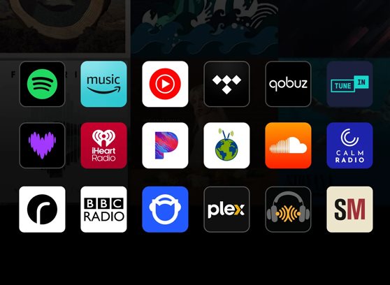 WiiM Sound Lite - cecha 2