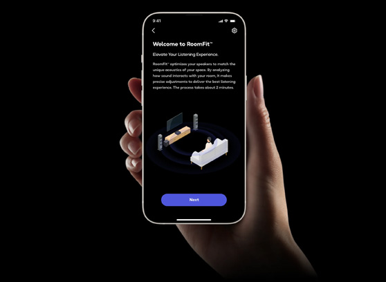 WiiM Sound - cecha 2