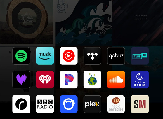 WiiM Sound - cecha 4