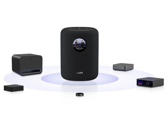 WiiM Sound - cecha 5