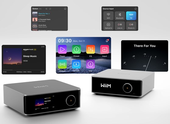 WiiM Ultra - cecha 5