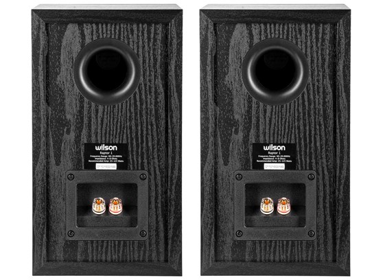 Wilson Raptor 1 - cecha 2