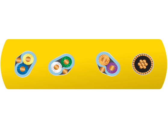 WireWorld Chroma 8 C3AB - cecha 1