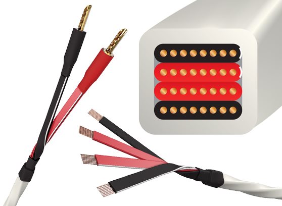 WireWorld Luna 10 (LUS) - cecha 1