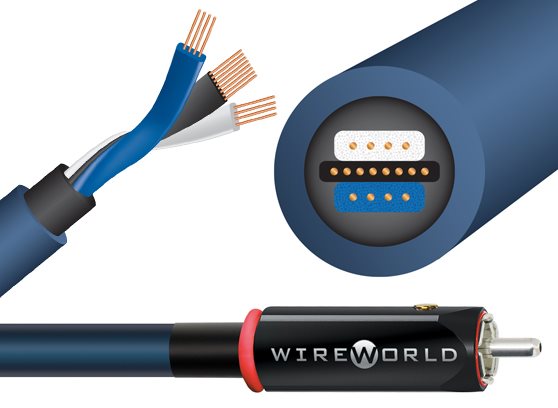 WireWorld Oasis 10 (OAI) - cecha 1