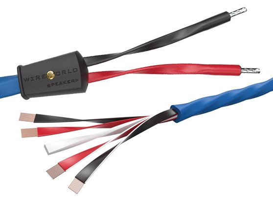 WireWorld Oasis 10 (OAS) - cecha 1