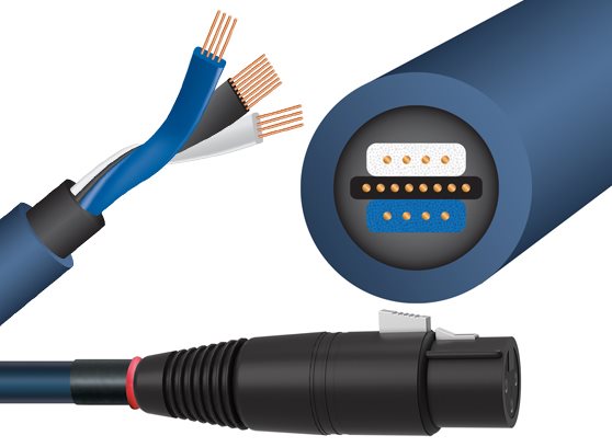 WireWorld Oasis 10 (OBI) - cecha 1