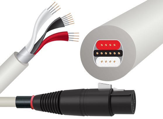 WireWorld Solstice 10 (BSI) - cecha 1
