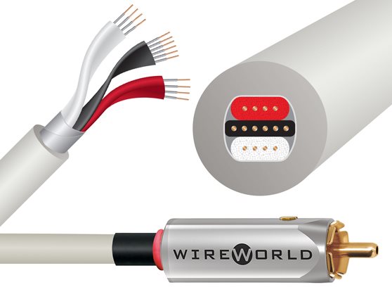 WireWorld Solstice 10 (SOI) - cecha 1