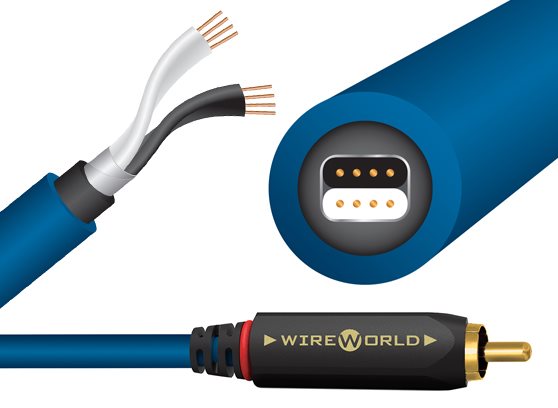 WireWorld Stream 10 (STI) - cecha 1