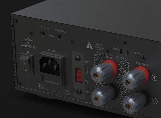 EverSolo AMP-F2 - cecha 3