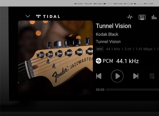 EverSolo DMP-A6 Gen 2 - cecha 4