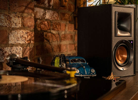 Zestaw: Pro-Ject Debut Carbon EVO + Klipsch R-51PM - cecha 5