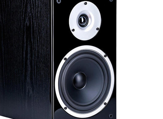Denon RCD-M41 + Wilson Raptor 3 - cecha 5