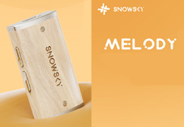 FiiO Snowsky Melody - Drewniany przenośny DAC/AMP, który łączy styl i moc