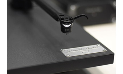 Goldring 2100 - cecha 1