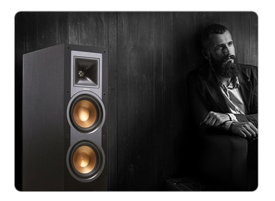 Klipsch R-24F - cecha 3
