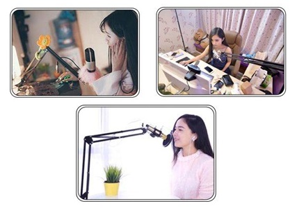 uchwyt + mikrofon Superlux E205U - cecha 2