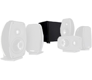 Cinema 100 CT subwoofer
