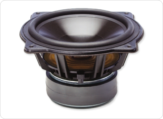 PARADIGM ATOM MONITOR 9 v7 - cecha 1