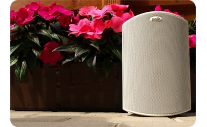 Definitive Technology-AW-5500 - cecha 1