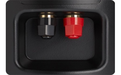 Definitive Technology-AW-5500 - cecha 3