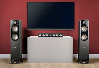 POLK AUDIO Signature S55 - cecha 2